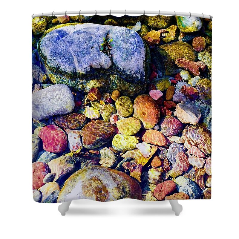 Las Vegas Shower Curtain featuring the photograph Rock Planter by Debra Grace Addison