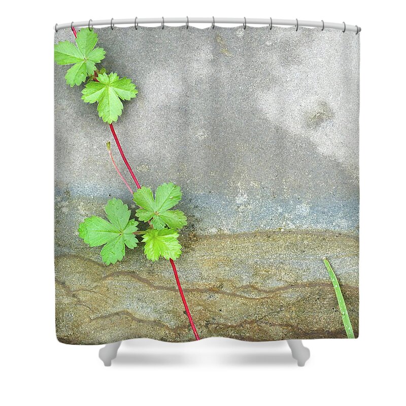 Duane Mccullough Shower Curtain featuring the photograph Rock Stain Abstract 4 by Duane McCullough