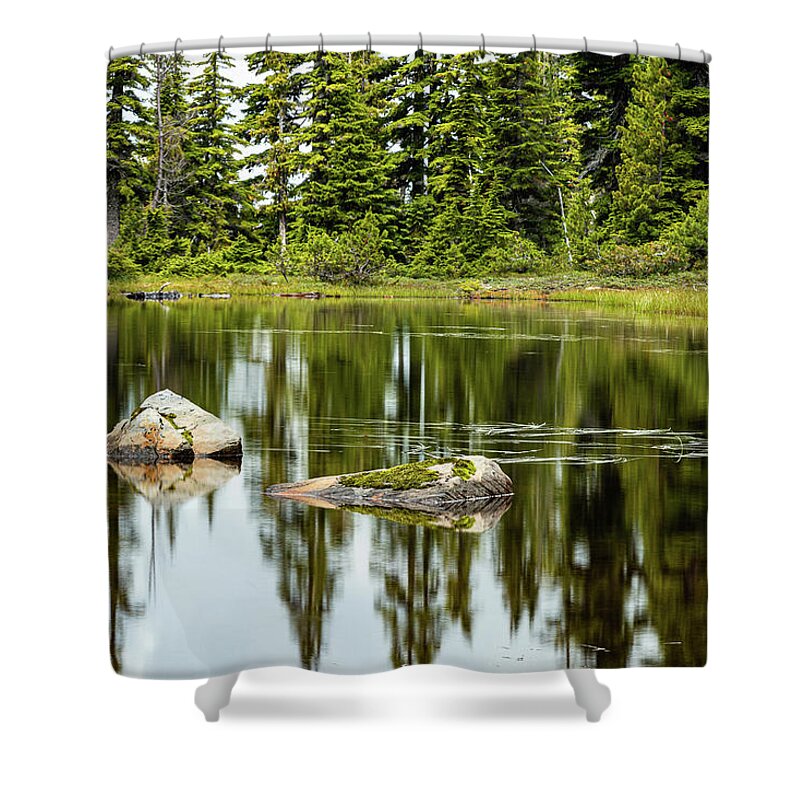 Landscapes Shower Curtain featuring the photograph Rocks In A Mountain Pond by Claude Dalley