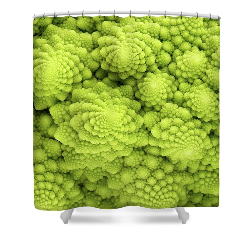 Broccoli Shower Curtain featuring the photograph Roman Cauliflower by Marcoventuriniautieri