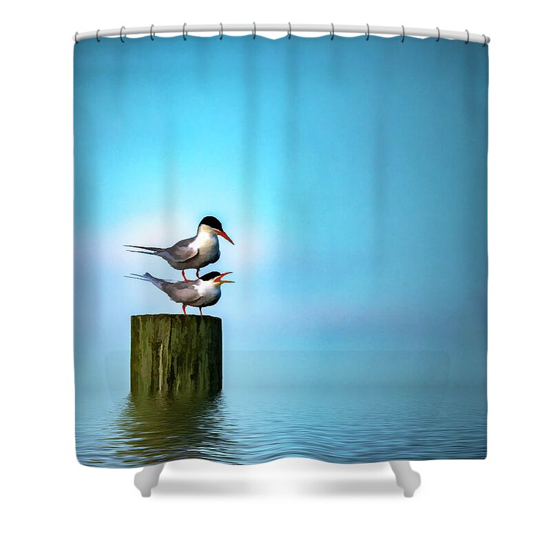 Terns Shower Curtain featuring the photograph Romance On The High Seas by Cathy Kovarik