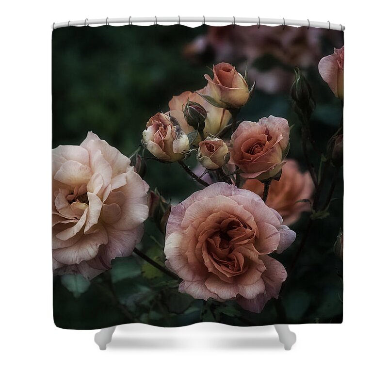 Roses Shower Curtain featuring the photograph Romanic Roses by Richard Cummings