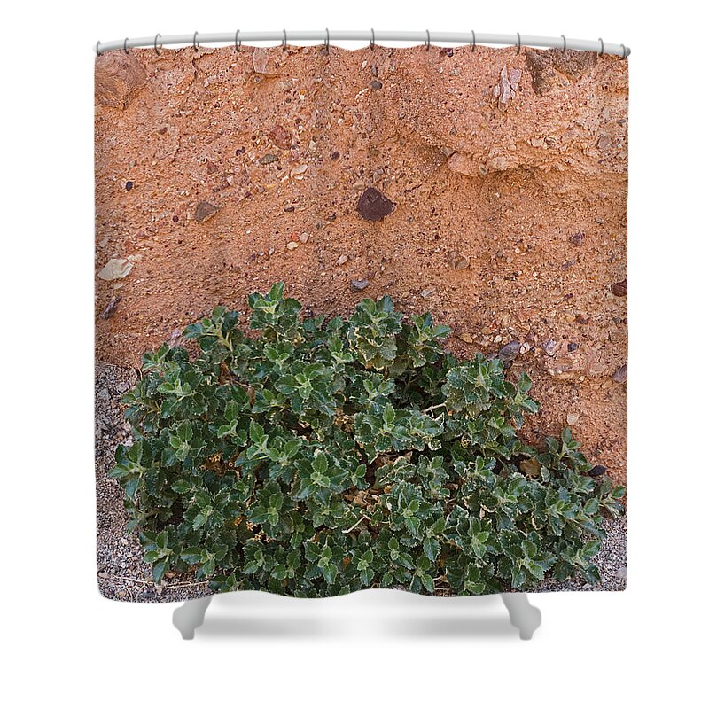 Tom Daniel Shower Curtain featuring the photograph Room Canyon Survival by Tom Daniel