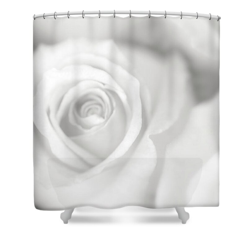 Photography Shower Curtain featuring the photograph Rose Studies II by James Mcloughlin