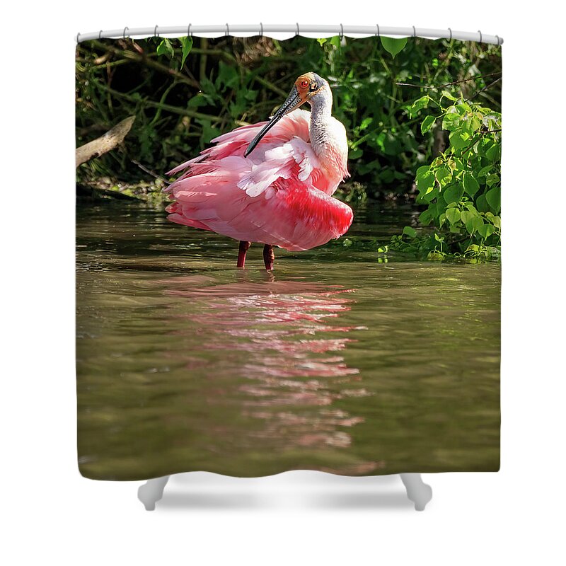 Spoonbill Shower Curtain featuring the photograph Roseate Spoonbill by JASawyer Imaging