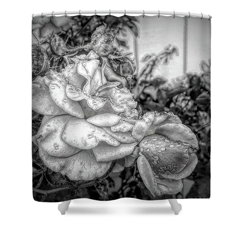 Flowers Shower Curtain featuring the digital art Roses black and white 82019 by Cathy Anderson