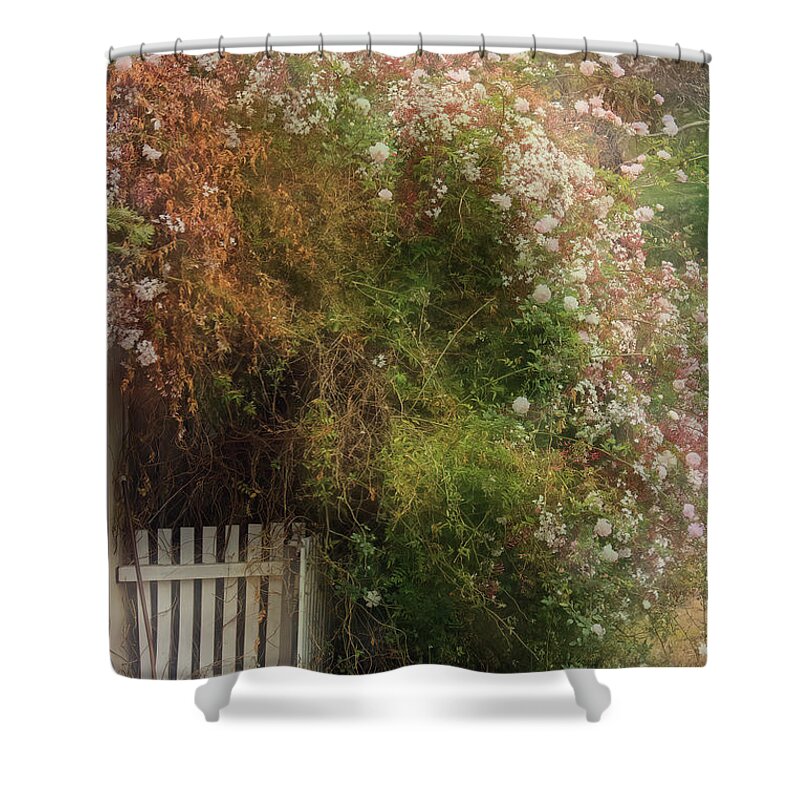 Roses Shower Curtain featuring the photograph Rosy Entry by Elaine Teague