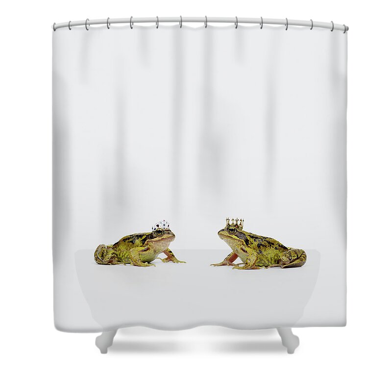 Royal Frogs Shower Curtain by Maarten Wouters 