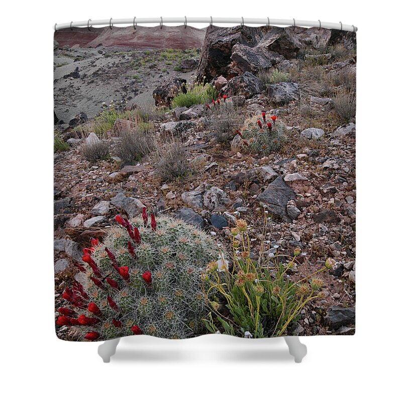 Ruby Mountain Shower Curtain featuring the photograph Ruby Mountain Wildflowers and Cacti by Ray Mathis