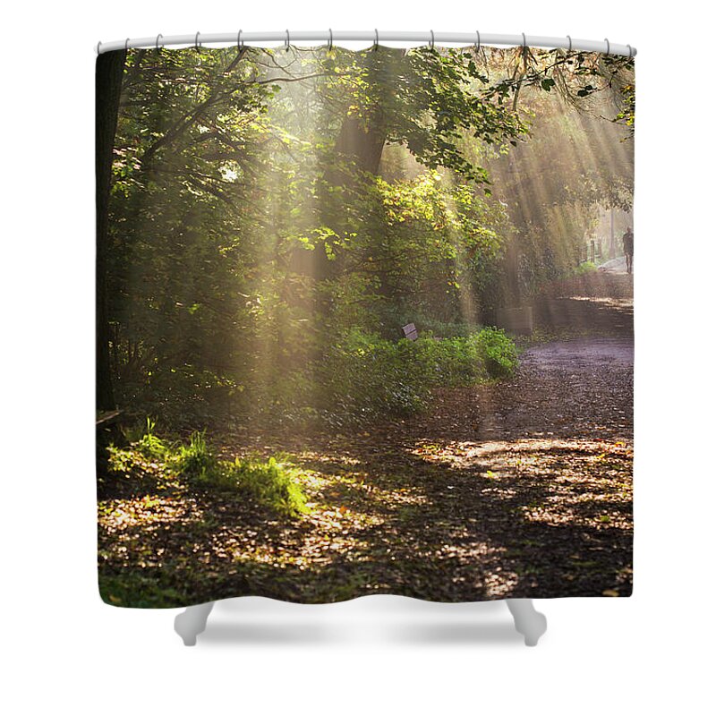 Running Shower Curtain featuring the photograph Runner On Path In Early Morning, Hampstead Heath, London by Matthew Maran / Naturepl.com