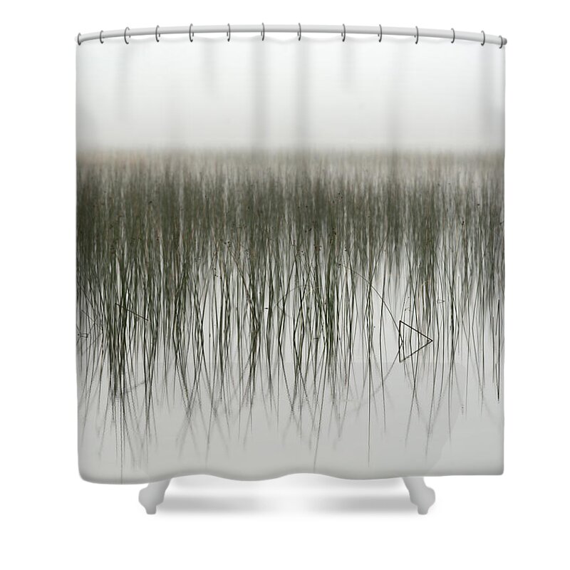 Rushes Shower Curtain featuring the photograph Rush Reflections #2 - Equilateral Triangle or PLAY button - foggy morning at Kangaroo Lake, WI by Peter Herman