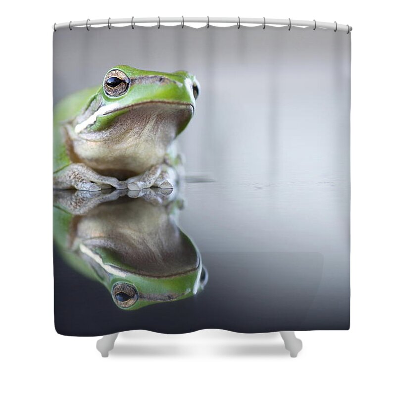 Sad Green Frog Shower Curtain by Darren Iz Photography 