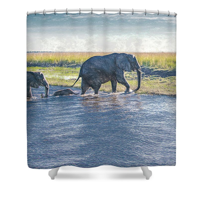 Elephants Shower Curtain featuring the photograph Safe Crossing by Marcy Wielfaert