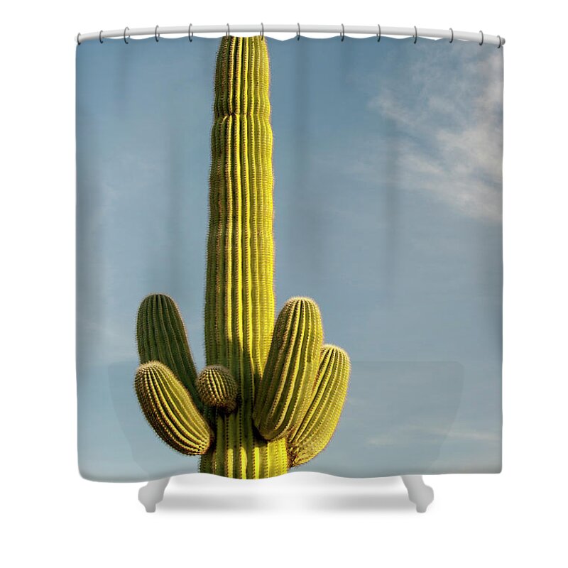 Saguaro Cactus Shower Curtain featuring the photograph Saguaro Cactus by Brian Stablyk