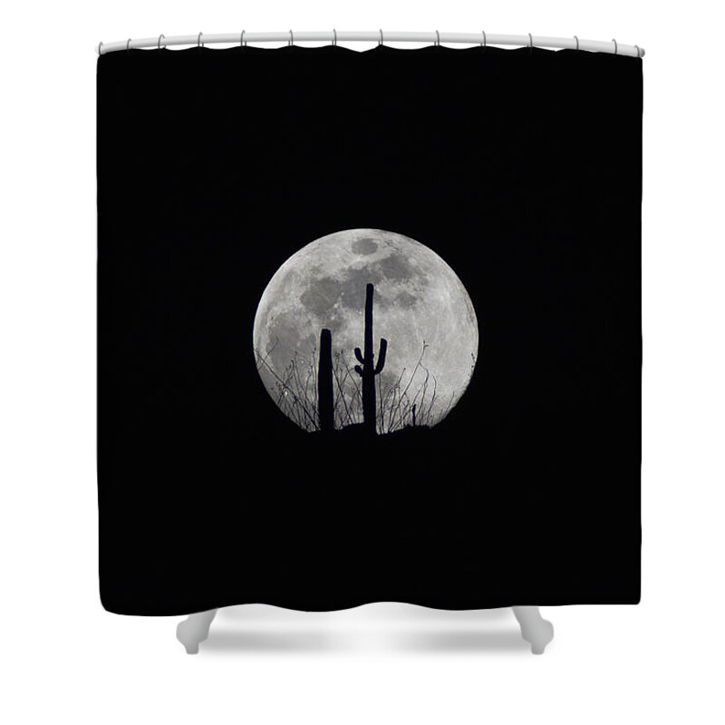 Moon Shower Curtain featuring the photograph Saguaro Moon Silhouette by Chance Kafka