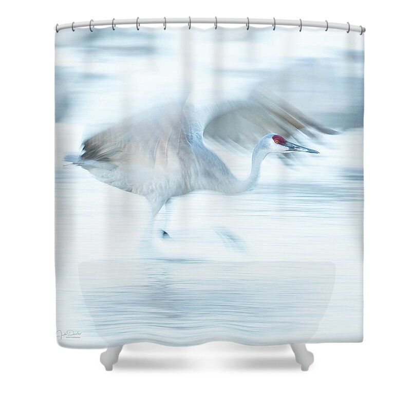 Sandhill Crane Shower Curtain featuring the photograph Sandhill Crane taking off -- Motion Blur by Judi Dressler