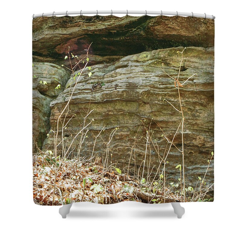 Erosion Shower Curtain featuring the photograph Sandstone Wall by Phil Perkins