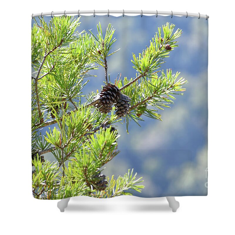 Savage Gulf Shower Curtain featuring the photograph Savage Gulf 9 by Phil Perkins
