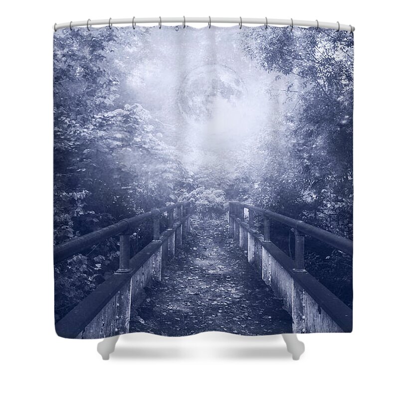 Appalachia Shower Curtain featuring the photograph Scattered Leaves on a Blue Night by Debra and Dave Vanderlaan