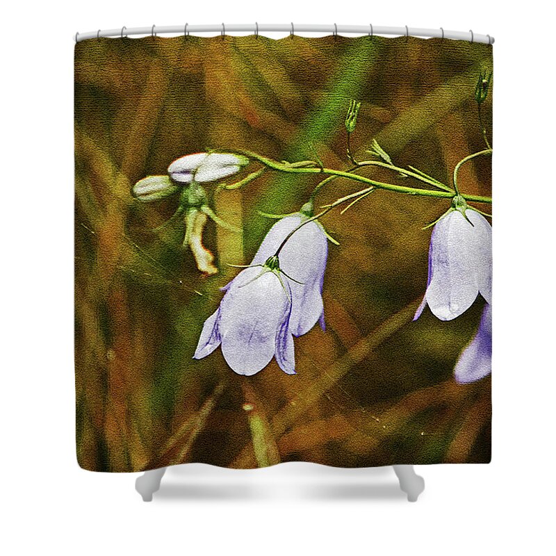 Scotland Shower Curtain featuring the photograph SCOTLAND. Loch Rannoch. Harebells In The Grass. by Lachlan Main