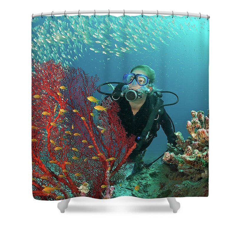 Underwater Shower Curtain featuring the photograph Scuba Diver Admires Fish And Red Fan by Rainervonbrandis