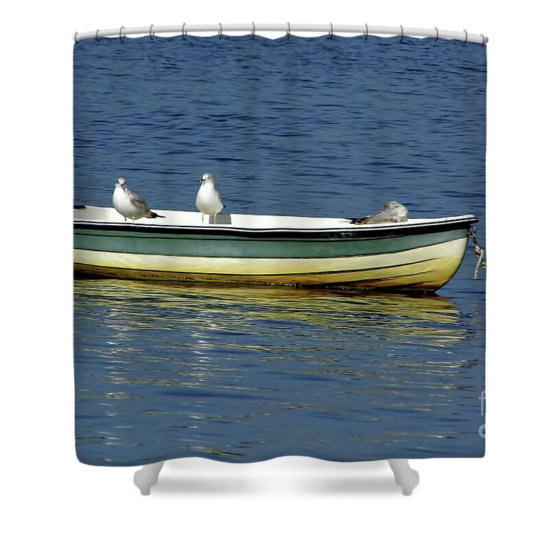 Boats Shower Curtain featuring the photograph Sea Gull Boat by D Hackett