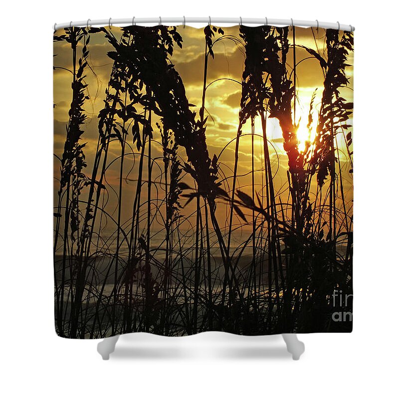 Sea Oats Shower Curtain featuring the photograph Sea Oats Silhouette And Ocean Sunrise by Cindy Treger