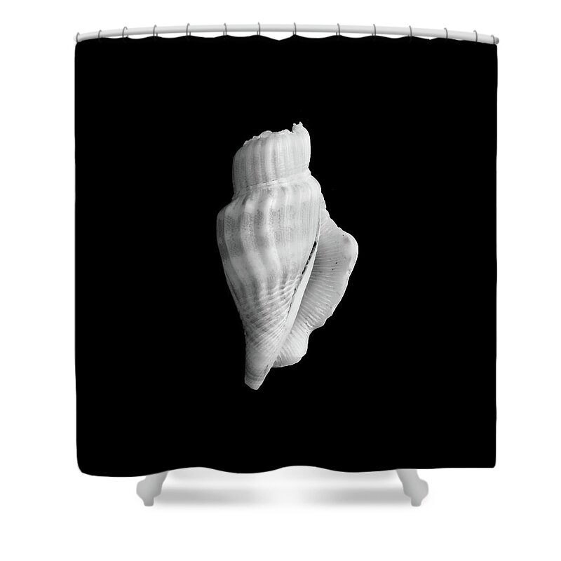 Cartridge Shower Curtain featuring the photograph Sea Shell by Kamal Iklil