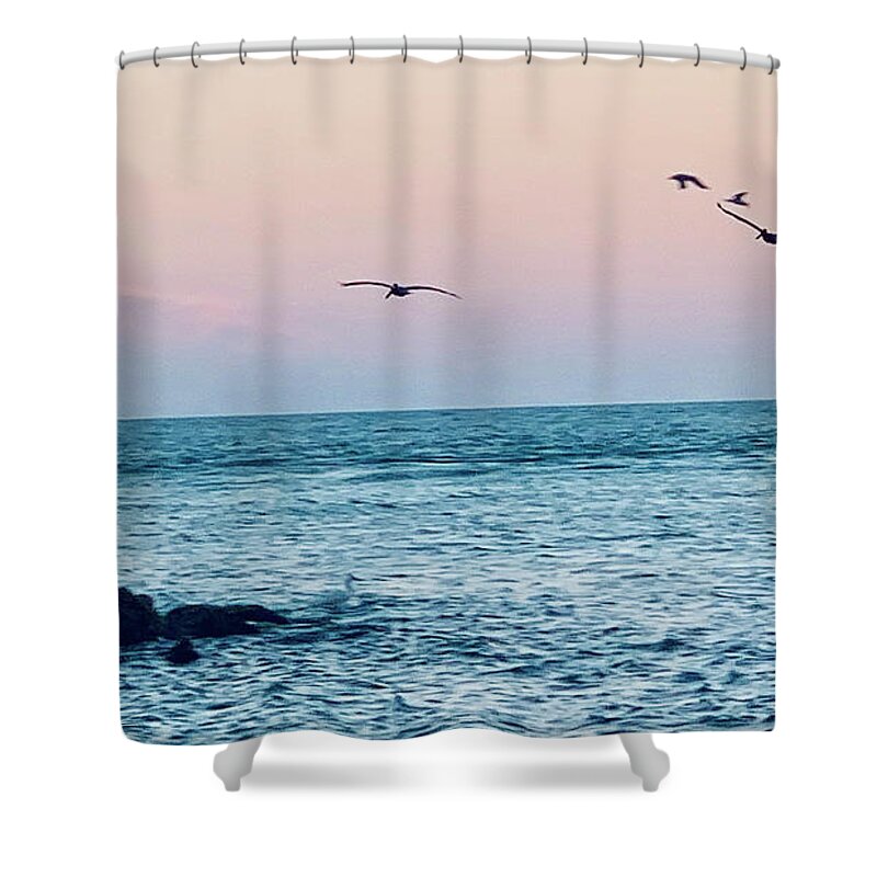 Birds Shower Curtain featuring the photograph Seabirds Feeding at Sunset in Captiva Island Florida off the Jetty by Shelly Tschupp