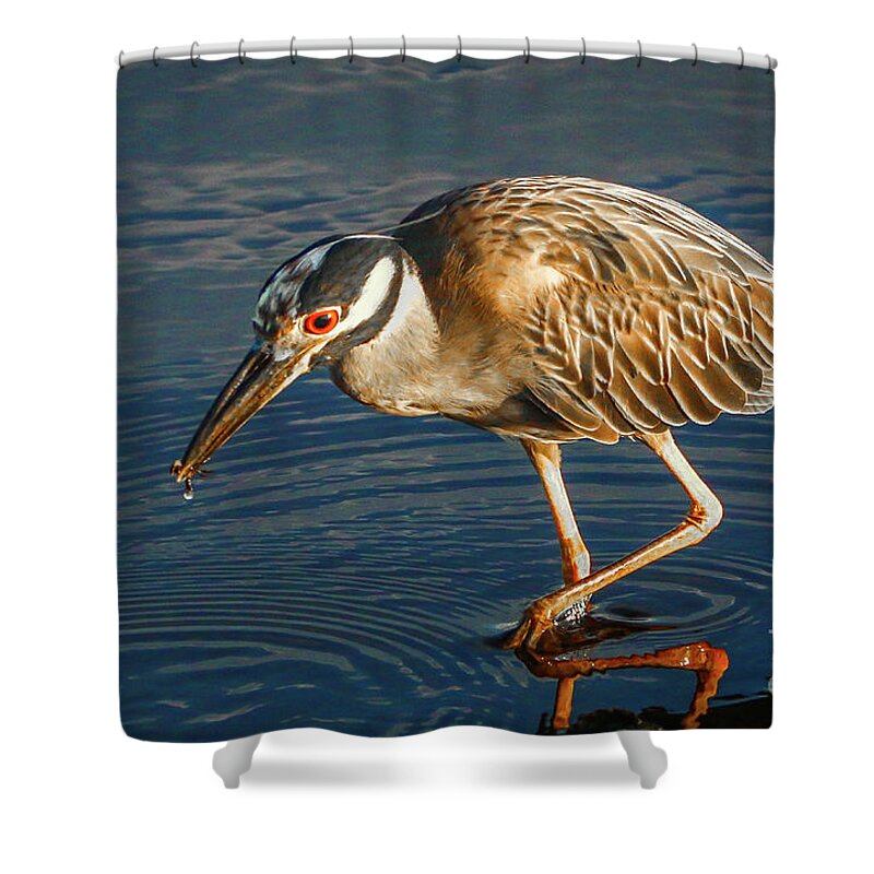Heron Shower Curtain featuring the photograph Searching for Breakfast by Tom Claud