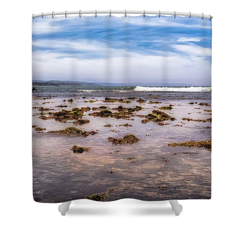 Seaweed Shower Curtain featuring the photograph Seaweed at Low Tide by Alison Frank