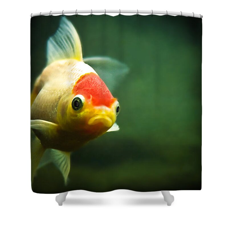 Underwater Shower Curtain featuring the photograph Secret Life Of Wanda by Tomasz Bobrzynski