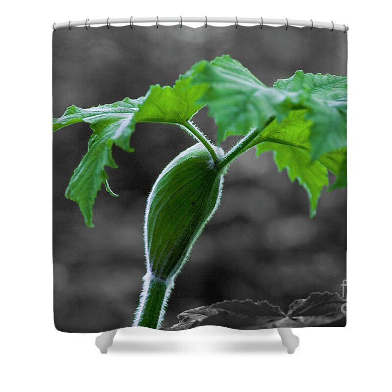 Wild Shower Curtain featuring the photograph Selective Creekside by Rich Collins
