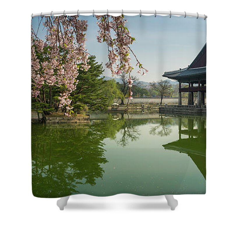 Scenics Shower Curtain featuring the photograph Seoul Spring Blossom Over Gyeongbokgung by Fotovoyager