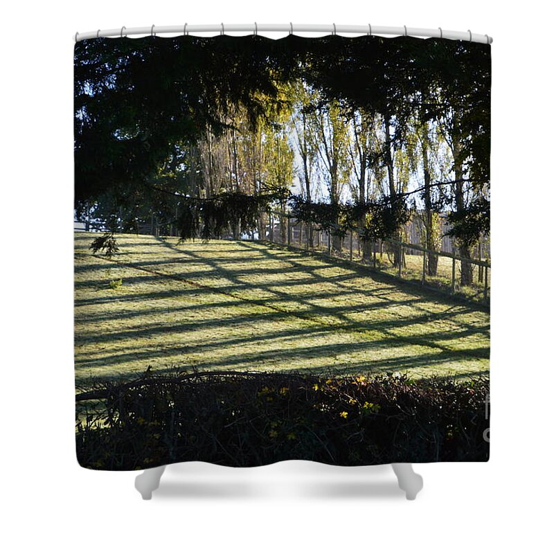 Shadows Shower Curtain featuring the photograph Shadows by Andy Thompson