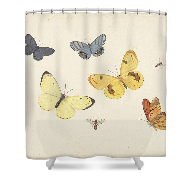 Sheet Of Studies With Five Butterflies Shower Curtain featuring the painting Sheet of Studies with Five Butterflies by MotionAge Designs