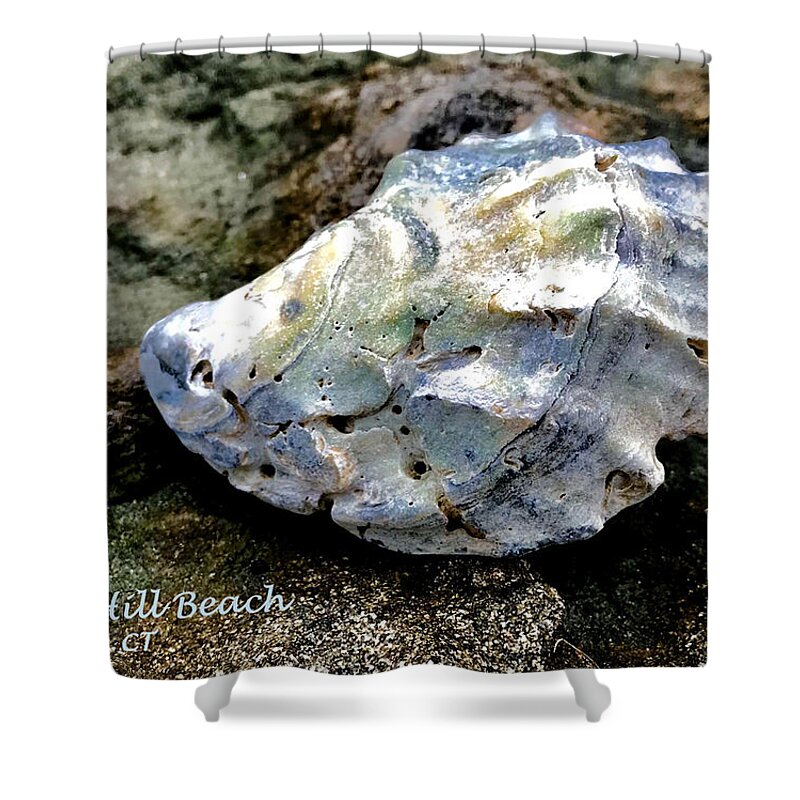 Oyster Shower Curtain featuring the photograph Shell on Jetty Sasco Hill by Tom Johnson