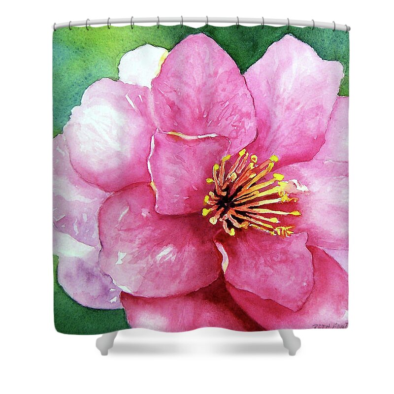 Flower Shower Curtain featuring the painting Shi Shi Sasanqua by Beth Fontenot