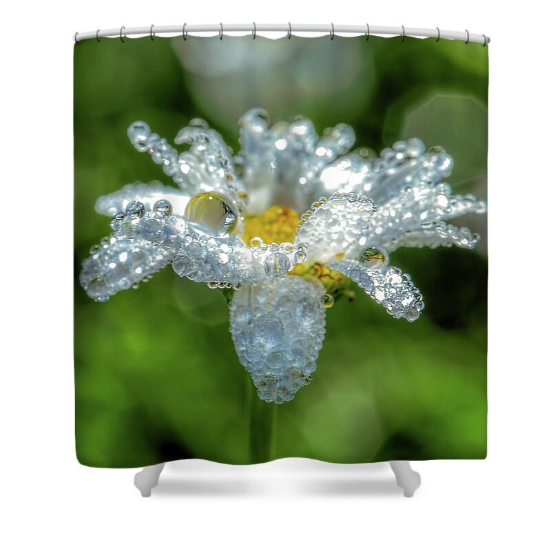 Shine Bright Like A Diamond Shower Curtain featuring the photograph Shine bright like a diamond by Rose-Marie Karlsen