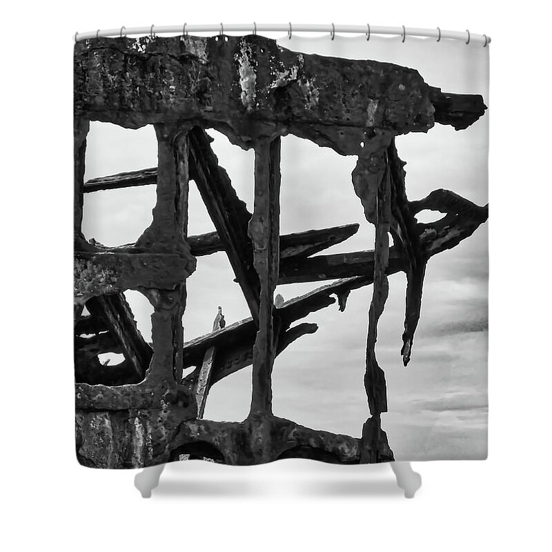 Astoria Shower Curtain featuring the photograph Shipwreck skeleton by Segura Shaw Photography