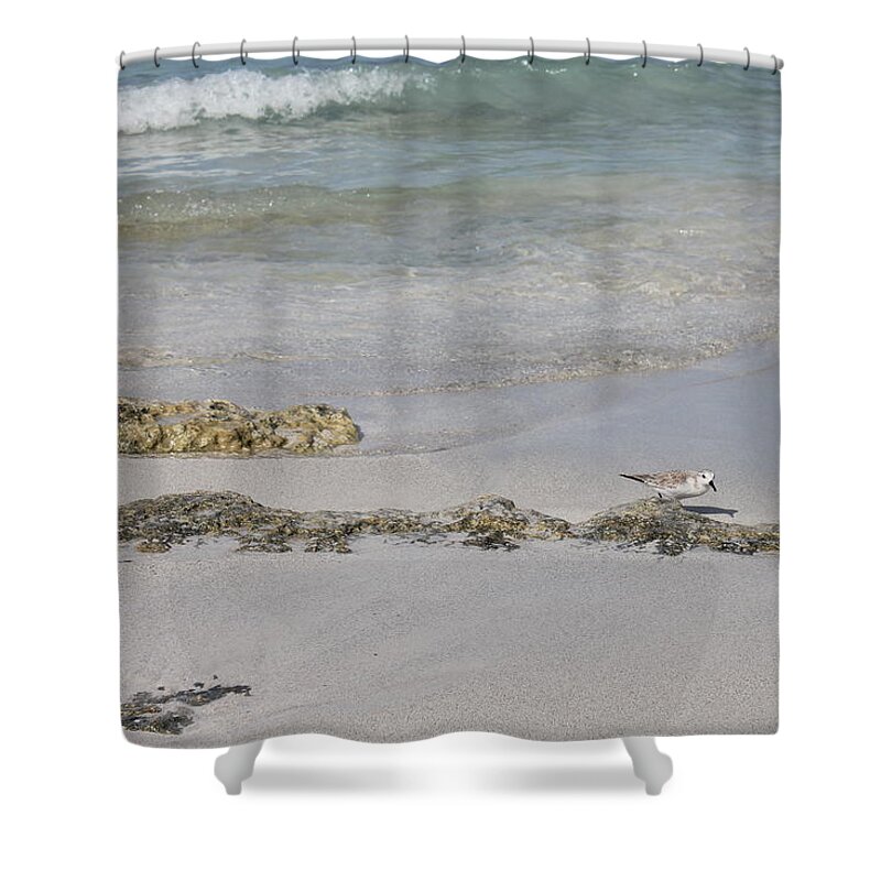 Shorebird Shower Curtain featuring the photograph Shorebird by Ruth Kamenev