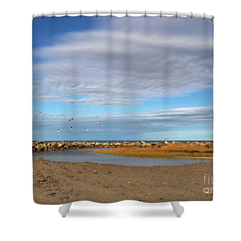 Shoreside Serenity Shower Curtain featuring the photograph Shoreside Serenity Cape Cod by Michelle Constantine