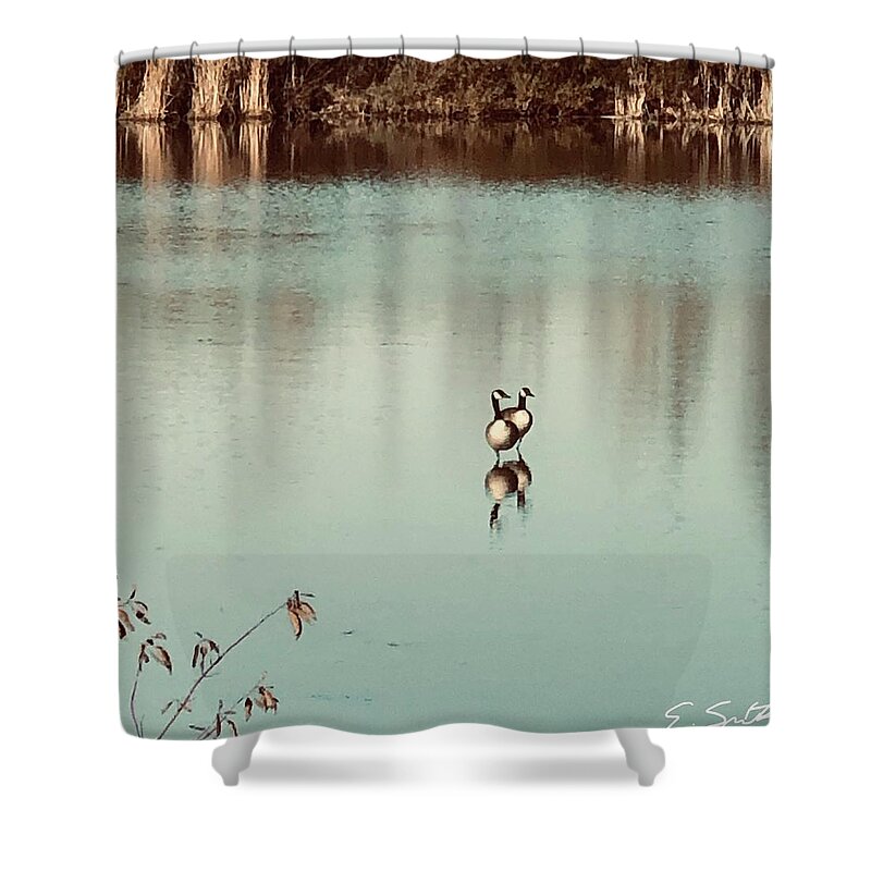 Siamese Twins Shower Curtain featuring the photograph Siamese Twins by Edward Smith
