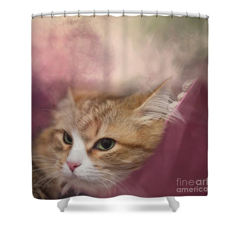 Siberian Cat Shower Curtains