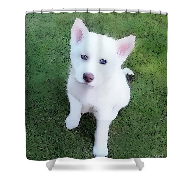 Husky Shower Curtain featuring the photograph Siberian Husky Puppy A030619 by Mas Art Studio