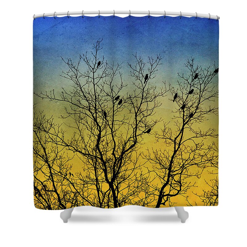 Birds Shower Curtain featuring the mixed media Silhouette Birds Sequel by Christina Rollo