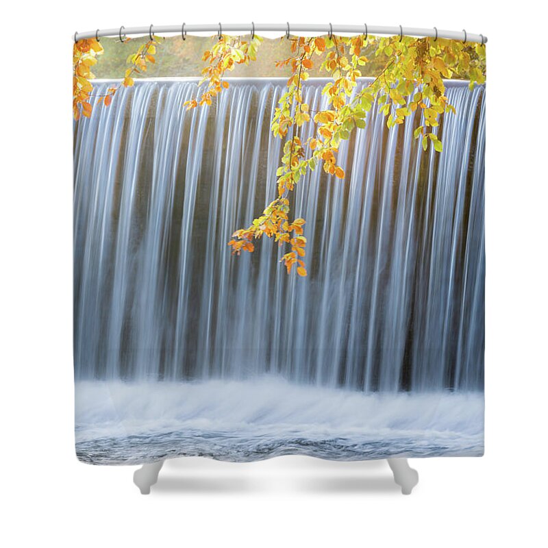 Landscape Shower Curtain featuring the photograph Silver and Gold by Anita Nicholson