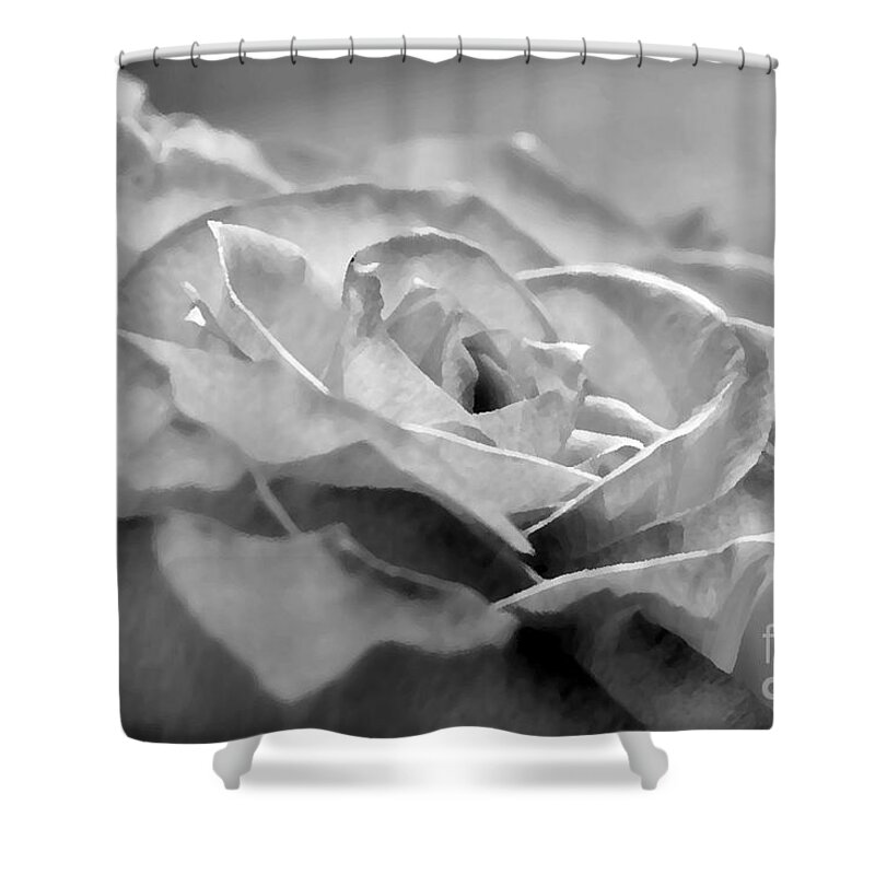 Flower Shower Curtain featuring the photograph Silver White by Lorenzo Cassina