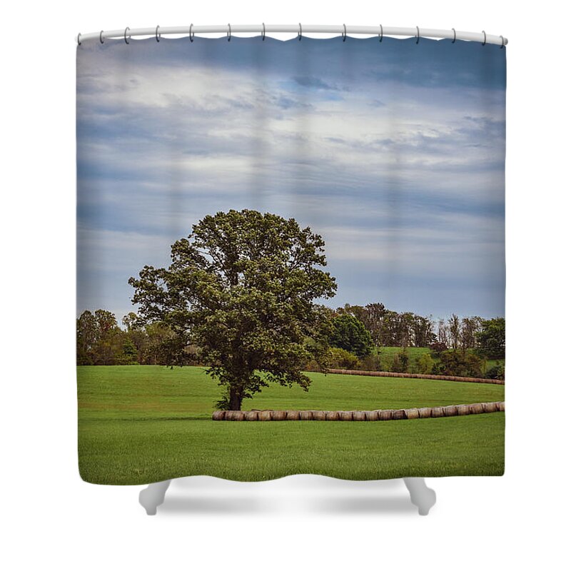 Tree Shower Curtain featuring the photograph Simple Joys by Michelle Wittensoldner