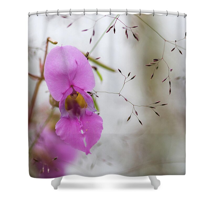 Himalayas Shower Curtain featuring the photograph Simplicity by Deep Pai